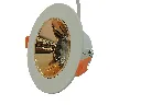 GOLDY (2).webp