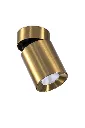 _RID5311_1.webp