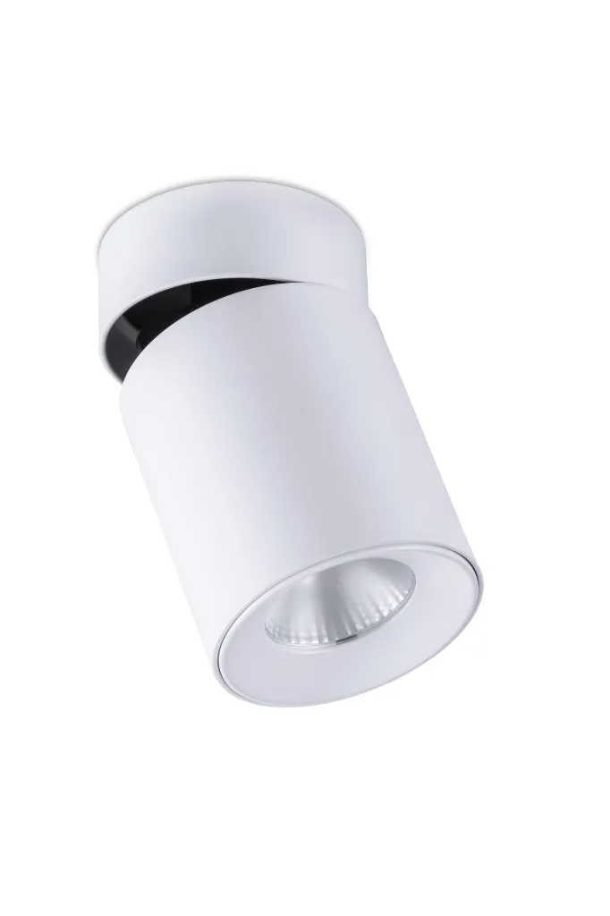 _RID5308_1.webp