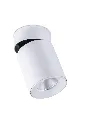_RID5308_1.webp