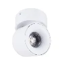_RID7707_1.webp
