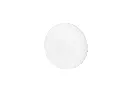 MOONY-1.webp