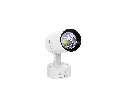 NAVY WALL WHITE.webp