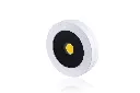 _RID5390_1.webp
