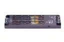 SPARK (2).webp
