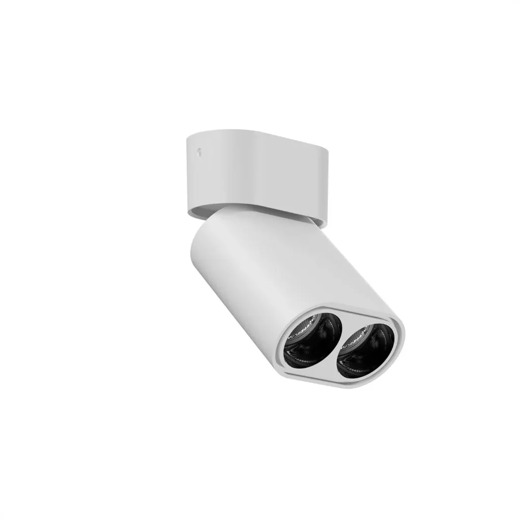 10W RINGER (2).webp