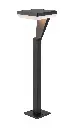 NLH-2619.webp