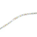4040 3CHIP (1).webp