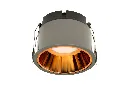 BOLT (5).webp